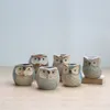 Meaty Botany Flowerpot Mini Creative Ny Style Succulent Pots Owl Crude Potter Ventilation Keramisk Basin Ornament Konst och hantverk