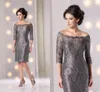 Gray Lace Mother of the Bride Dresses with 3/4 Long Sleeves Plus Size Sheath Women Wedding Party Dress Knee Length Mother's Dress