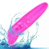 NXY Vibrators Little Dolphin Egg Jumping Mini Vibrator Kvinna Onani Appliance Fun Vuxenprodukter Toy Lipstick Hoppa 0304