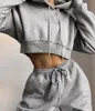 Mulheres Outono Primavera Hoodies Calças 2 Peça Define Venda Quente Roupas Calças Suor Ternos para Senhoras Crop Top Hoodie e Jogger Sets Y1229