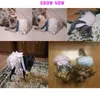 ペットドッグの服ドレスプリンセススカートテディ子犬ウェディングドレスFOT犬小さなミディアムドッグかわいいファッションスカートペットアクセサリーY200252A