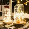 DHL 2M 20LED Wine Bottle Lights Cork Battery Powered Starry DIY Christmas String Lights For Party Halloween Wedding Decoracion6420985