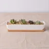 Moderne Simple Blanc Céramique Plantes Succulentes Planteur Avec BambooTray Plante Verte Pots Décor De Bureau Bonsaï Paysage Pot De Fleurs Y200723