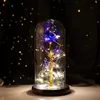 2021 LED LED Enchanted Galaxy Rose Eternal Eternal 24K Gold Foil Flower avec fée lumières à cordes dans le dôme pour Noël Valentin039S GI4288298