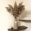20pcs bouquet de fleurs de mariage pampa séchée beau roseau décor de noël pampa herbe bouquet de fleurs plantes de roseau séchées naturelles 201201