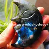 6st 70-80mm Naturlig Labradorit Ametyst Fluorit Crystal Moon Face Hand-snidad Quartz Ädelsten Crescent Moon Specimen Healing Collection