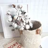 Decoratieve bloemen kransen 10 Hoofd Natuurlijk gedroogde katoenen bloem kunstmatige planten bloemen tak voor bruiloftsfeestdecoratie nep home de