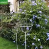 KRAFLO plant fencing Lollipop climbing frame Rose windmill Jasmine Clematis Blue Snowflake Bracket Wrought iron spherical flower stand