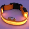 Night LED Flash Collari per cani Collare per cani di sicurezza regolabile a LED Guinzaglio per cuccioli Forniture per animali domestici volontà e sabbia