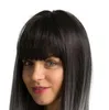 Perruque longue et lisse avec raie centrale pour femme, perruque ombrée pour Costume de Cosplay