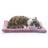 시뮬레이션 동물 고양이 침대 개 애완 동물 생일 선물 시뮬레이션 장난감 어린이를위한 고양이 개 전자 애완 동물 LJ201105