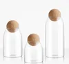 Partihandel 2,4 tums vinflaska Decanter Cork Stopper Ersättare Träglasburk flaskan LID BALL KD