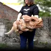 الطفل triceratops محاكاة ديناصور اليد دمية لعبة animatronic ديناصور طفل روبوت صغير الديناصورات الدعم المجاني التخصيص