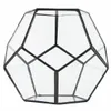 Zwart Glas Pentagon Geometrische Terrarium Container Vensterbank Decor Bloempot Balkon Planter Diy Display Box Geen Plant T200104284c