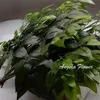 Branche de feuilles décoratives artificielles vertes en caoutchouc de soie Plantes en plastique en forme de 4 types de décoration de Noël à la maison 12pc Y201020