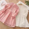 Spring Autumn 3 4 6 8 10 to 12 Years Child England Style Princess Pearl Lace Knee Length Kids Baby Girl Long Sleeve Dress 2012045397567