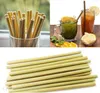 Palhas de bambu de palha reutilizável Barwar festa de ferramenta de cozinha útil com escova limpa 12pcs por terno