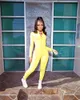 Kadın Tasarımcı Uzun Kollu Tulumlar Düz S-2XL Tulum Fermuar Boyun Güz Kış Rahat Giyim Katı Renk Tulum Seksi Sıska Pantolon 4037