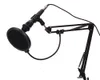 E-300 Kondensator-Handmikrofon XLR Professionelles Großmembran-Mikrofon mit Ständer für Computerstudio-Gesangsaufnahmen-Karaoke