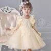 Fille robe fête anniversaire mariage princesse enfant en bas âge bébé filles vêtements de noël enfants enfants fille robes F1203