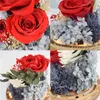 Eternal Flower Handmade Preserved Real Rose Glass Cover Holder Immortal Flowers Valentines Day Birthday Gifts Wedding Supplies