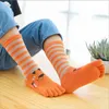 Children Kids Girls Toe Socks Cute Cartoon Cotton Baby Girl Socks Boy Toddler Warm Autumn Spring Five Finger Sock 2-12Y G1224