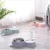 Kotka miska pies karmnik wodny kociak pijący fontanna żywność danie z pensem