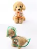 Pet Dog Puppy Trasparente Rainwear Impermeabile Pet Hooded Waterproof Cani Giacca trasparente Abbigliamento Poncho s-xxl KKA8316