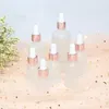 Frosted Glass Essential Oil Perfume Bottle Liquid Reagent Pipette Dropper Bottles with Rose Gold Cap 5-100ml