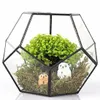 Black Glass Pentagon Geometric Terrarium Container Window Sill Decor Flower Pot Balcony Planter Diy Display Box No Plant T200104263V