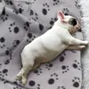 Benepaw 작은 중형 대형 개에 대 한 따뜻한 부드러운 개 담요 편안한 발 인쇄 애완 동물 매트 고양이 품질 강아지 침대 커버 새끼 고양이 LJ201204