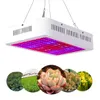 ベストセラー2000Wデュアルチップ380-730nmフルライトスペクトルLED植物の成長灯ホワイト屋内LED成長ライト
