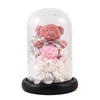 Ours de fleur éternelle artificielle rose en verre couvercle de dôme lampe LED LEDGE GALAXY CHAMBRE DÉCOR POUR MARIAGE D'ANNIVERSURS Saint-Valentin 9669469