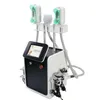 7 w 1 Kawitacja ultradźwiękowa Częstotliwość radiowa RF Schodowanie Cool Cryo Laser Lipo Skin Docning Lipolaser Strata Maszyny