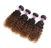 16 ~ 24 tum syntetiska hårförlängningar Wefts Bunds Afro Kinky Curly Hair Extension FLC-001