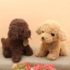 Knuffels Teddy Hond Schattige Knuffels Honden Poppen Zachte pop Kinderen Kinderen Kerstmis Nieuwjaar Verjaardagscadeaus Whole7713003