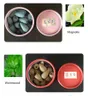 Natural Smoke Backflow Cone Incense 25pcBox Waterfall Fragrant Tower Spices Sandalwood Rose Tulip for Home Office2718458