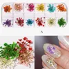 Nail Stickers Real Natural Dried Flowers Art Kit Supplies 3D Applique Nails Decoratie Pailletten Glitter Decals voor Tips Manicure Decor