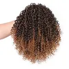 100% humain Ombre auburn Afro Queue de Cheval Crépus Bouclés Cordon Queue de Cheval Extensions de Cheveux Court Cordon Bouclé Queue de Cheval pour Femmes 120g