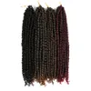 LANS Förvistad passion Twist Crochet Hair 24 Inch Pre-looped Bohemian Curly flätor 100g Syntetiska flätande hårförlängningar LS01