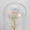 LED Enchanted Galaxy Rose Eternal 24k Gold Foil Flower met Fairy String Lights in Dome voor Kerst Valentijnsdag Gift