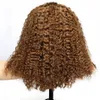 Couleur marron court crépus bouclés cheveux humains Bob fermeture perruques pour les femmes noires pré-cueillies 13x4 synthétique avant de lacet perruque avec Babyhair