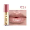 Colores de ajuste Hidratante High Gloss Lip Gloss Metallic Diamond Lip Pearly Shimmer Líquido Lipstick Lip Glaze871717777