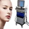 Peau Accueil Oxygénothérapie Microdermabrasion Dermabrasion Peeling Machine