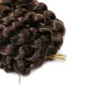 Lanzhi 10インチジャンピーワンドジャマイカのバウンスカールヘアエクステンション80gpcかぎ針編みの髪のかぎ針編み編組オンブルシンセティック編組ヘアL4430222