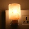 Livraison rapide Purificateur d'air de lampe de sel de l'Himalaya de sel de roche naturel de cylindre exquis avec base en bois Ambre Dimmable Night Lights