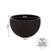 MUCIAKIE 1 pz 25x16 cm cesto sospeso in rattan plastica vaso da fiori rotondo in resina fioriera sospesa da giardino per piante da interno ed esterno Y2007235988644