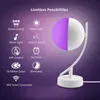 Moon Night Lampen RGB Timming Dimable Smart Desk Light Voice Control Wifi Table Lampen werken met Google Home Amazon