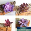 Charming Accessories Flocking DIY Mini Plant Plastic 1pc New Bridal Bouquet Fashion Purple Succulents Flower wall Floral