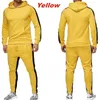 Sonbahar Kış Kış Jogging Suits Erkekler Striped Hoodie+Pantolon Günlük Takip Erkek Spor Giyim Giyim Giyim Ter Takımı 220107